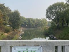 -大兴滨河森林公园