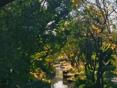 -北坞公园
