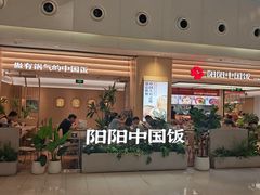 -阳阳中国饭(龙湖大兴天街)