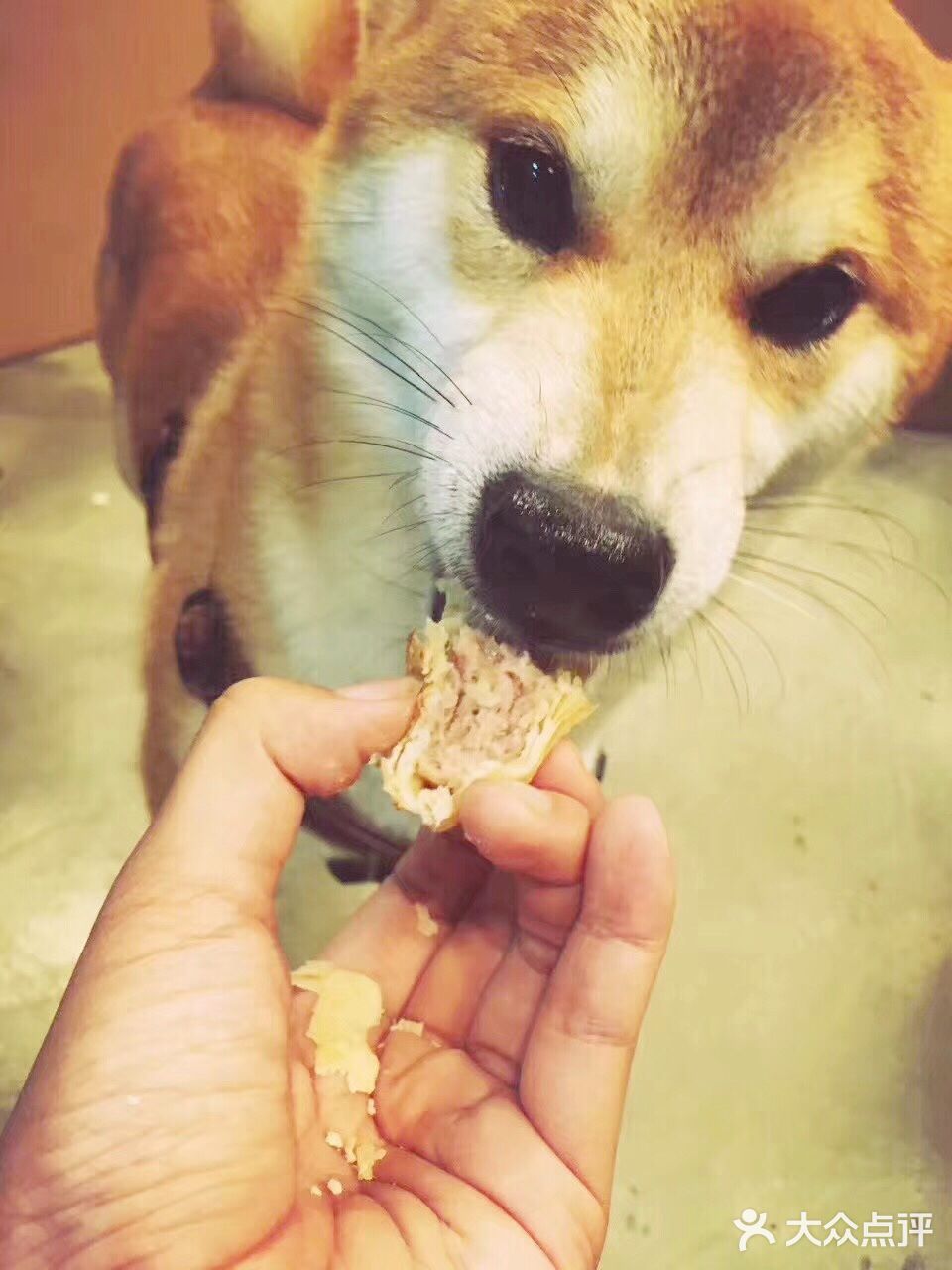 不然容易出水，里面就不脆了，蛋黄也不浪费