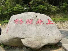 -普陀山风景区-佛顶山