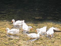 -少华山国家森林公园
