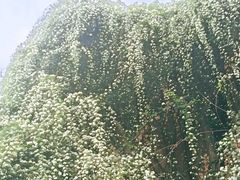 -成都当代影像馆
