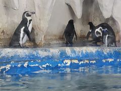 -太平洋海底世界