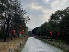 -龙游石窟
