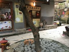 -小洲村