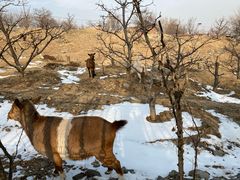 -阳台山自然风景区
