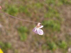 -滆湖低碳生态公园