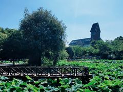-美兰湖景区