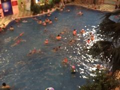 -碧水豪园·足浴·SPA·汗蒸·那须汤泉(中山东路店)