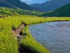 -伊犁河风景区