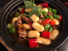 -陈麻婆豆腐总店