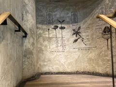 -星巴克臻选(湖滨道店)