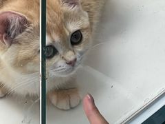 -乐宠宠物店(世纪金源店)