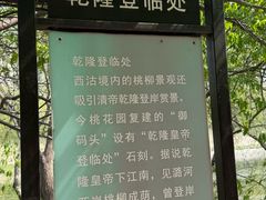 -桃花堤公园