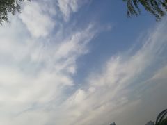 -天鹅湖体育公园