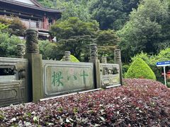 -十八棵（老龙井）御茶园(老龙井店)