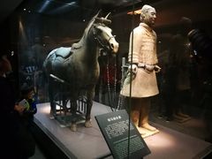 -秦始皇帝陵博物院(兵马俑)