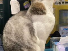 -谜盒子奇幻密室(南屏店)