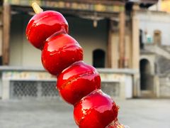-五龙城郊森林公园