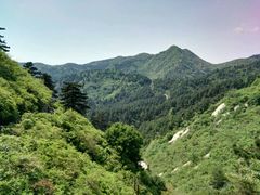 -木兰云雾山