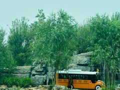 -北京野生动物园