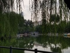 -莲湖公园