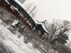 -迎泽公园