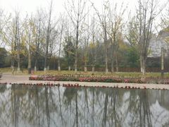 -天河潭旅游度假区