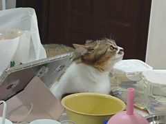 -酱湘宴餐厅(狮子山公园店)