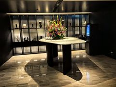 -新加坡乌节希尔顿酒店 (SG Clean)