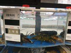 水产区-街角等你.大连海鲜烧烤(西安路店)