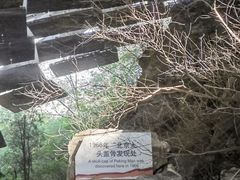 -北京周口店北京人遗址博物馆