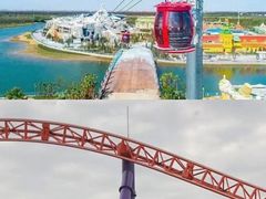 -上海海昌海洋公园