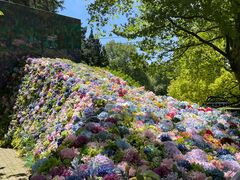 -上海共青森林公园