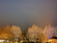 -杭州君悦酒店