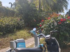 -三亚湾电动车租赁(三亚湾店)