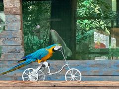 -南宫五洲植物乐园