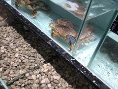 -徐记海鲜(大雁塔|金都店)