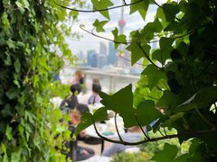-顶层酒吧ROOF(上海艾迪逊酒店)