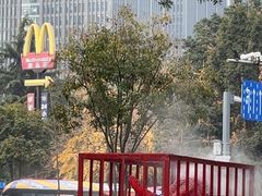 -成都当代美术馆