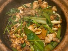 啫啫牛蛙-煲煲好(朝阳门店)