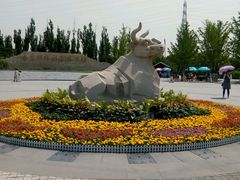 -永定河休闲森林公园