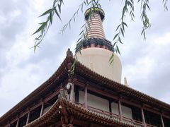 -张掖大佛寺景区