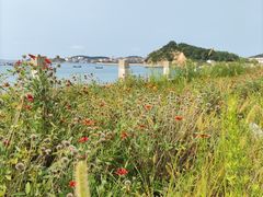 -大长山岛