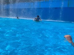 -亚马逊丛林水乐园