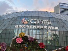 -花之城