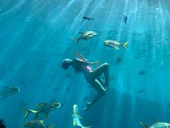 -瑞德姆美人鱼海底演艺主题餐厅(亚龙湾店)