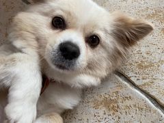 -零几体验diy皮具工作室(振业城店)