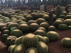 -南通洲际绿博园
